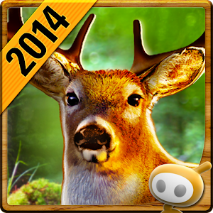 DEER HUNTER 2014 6HvbYrG119vzlp9pi-g1cQ4l3aYn_Pimo8p1XQzpCM2dM3qZAqIiCQiRwytS_rU5Cw=w300