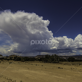 Run to the rain by Steven Acquard - Landscapes Deserts