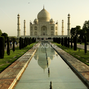 Taj Mahal, India. by Lígia Halmenschlager - Buildings & Architecture Public & Historical