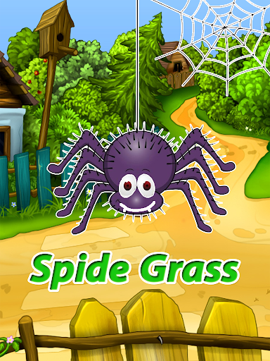 Spider Grass