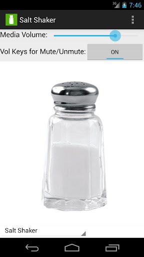 Salt Shaker