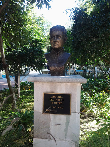 Busto Antonia Del Moral Y Otero