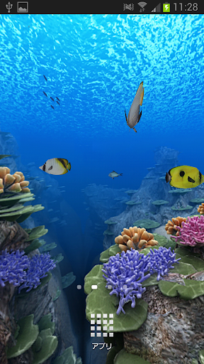 Coral Reef of Kerama HD Trial