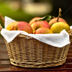 Apples by Dunstan Vavasour - Artistic Objects Still Life