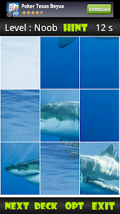 Lastest Sharks Sliding Puzzle APK for PC