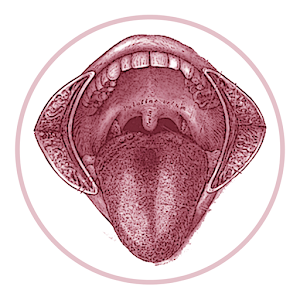 TNM Lip Oral Cavity.apk 1.0