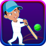 Cover Image of ดาวน์โหลด Box Cricket 2.2 APK