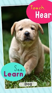 How to download Animal Sounds 123 HD lastet apk for laptop