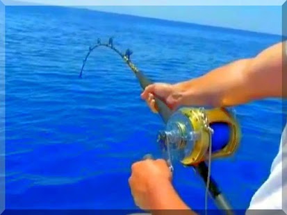 How to download Fish Fishing Puzle! 16.1 apk for pc