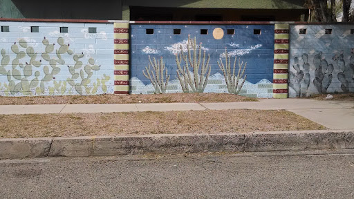 Cactus Murals