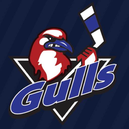 Long Island Gulls LOGO-APP點子