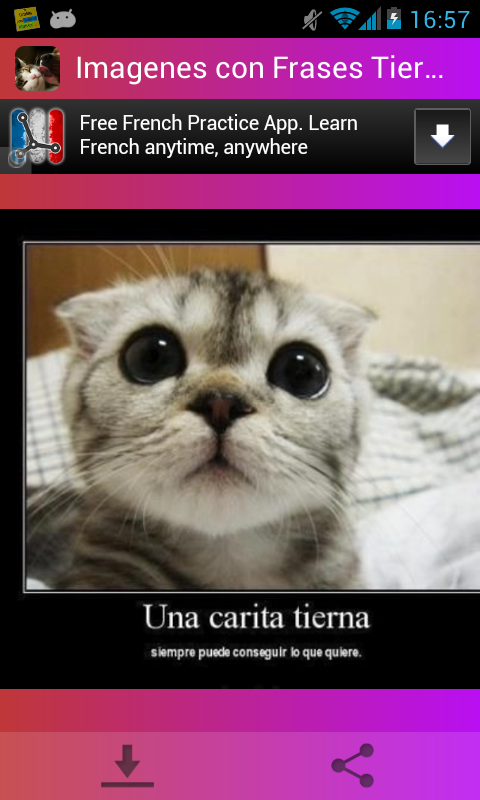 Imagenes con Frases Tiernas – Aplicações Android no Google 