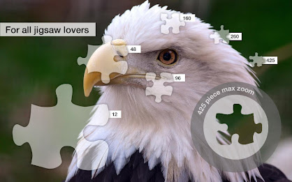 Bold Birds Jigsaw Puzzles Demo poster 10