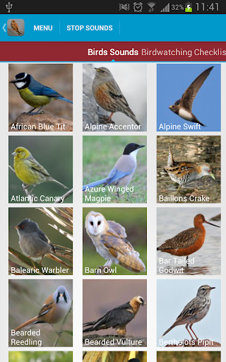 免費下載教育APP|Spanish Birds Sounds app開箱文|APP開箱王