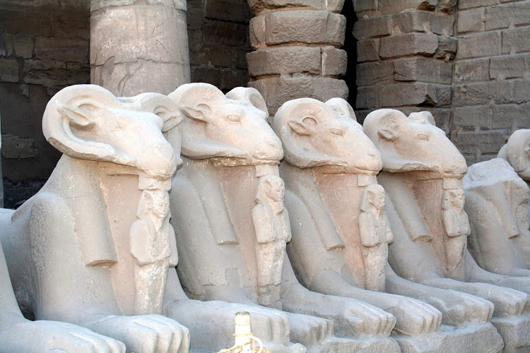 Your kids will feel as if they're on an Indiana Jones adventure if you take them on a shore excursion to see the ram statues at Karnak Temple in Luxor, Egypt, as part of a cruise aboard Uniworld's River Tosca.