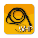 Ultimate Black Whip