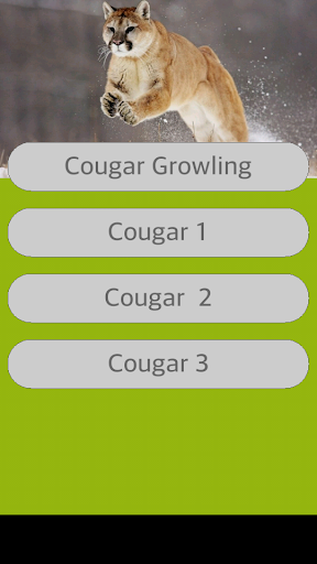 Cougar Sounds