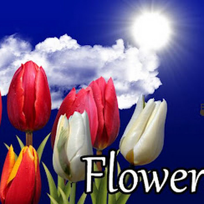Flowers HD Live Wallpaper v1.2
