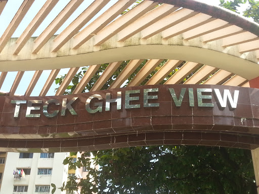 Teck Ghee View