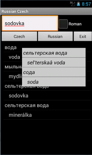 Russian Czech Dictionary