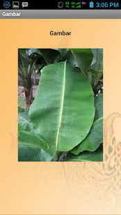 How to get Kawruh Basa Jawa Pepak 1.0 apk for android