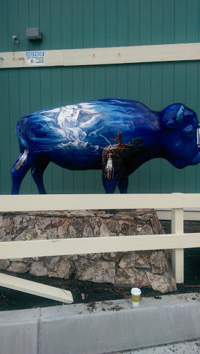 Blue Buffalo Spirit