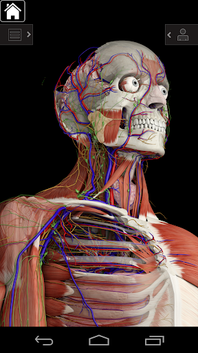 Essential Anatomy 3 for Orgs.