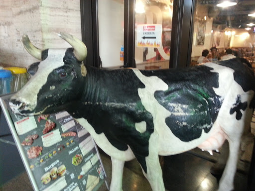 Another Termini's Cow