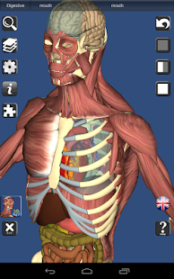 Human Anatomy Atlas SP - Free download and software reviews ...