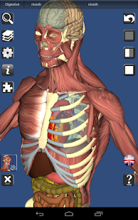 3D Anatomy Lite