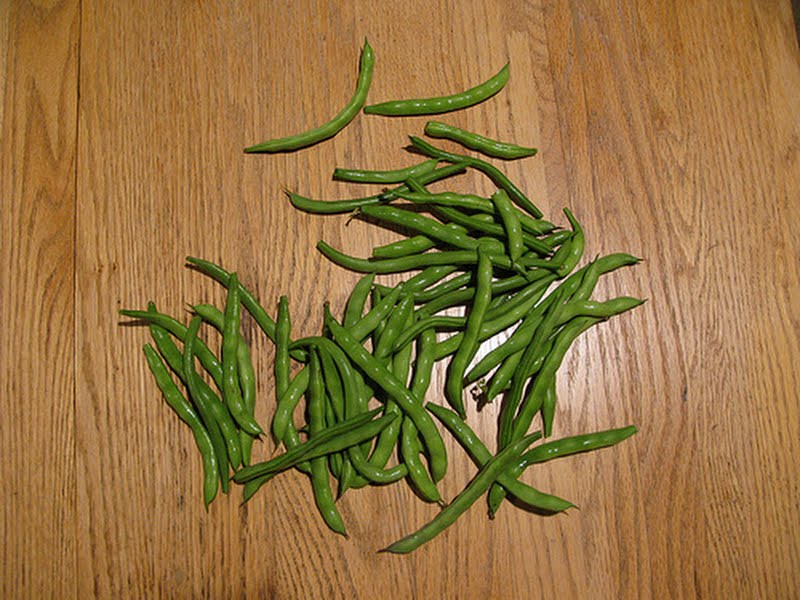 pole beans