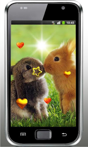 Valentine Rabbits HD LWP