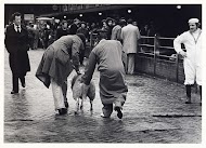 Het Grote Offerfeest het Id al-adha