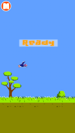 Ducks novice tunnel poster 4