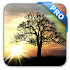 Sun Rise Pro Live Wallpaper4.7.0