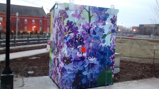 Victoria Flower Art Box