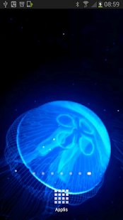 Night Light Jelly Fish LWP