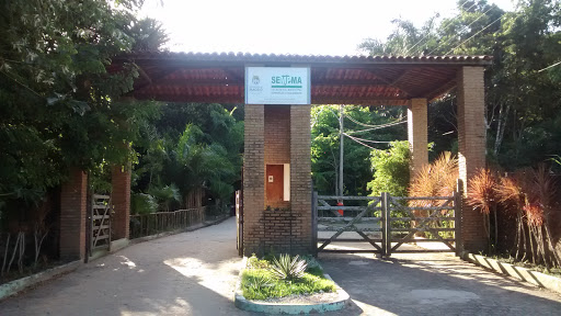 Parque Municipal De Maceió 