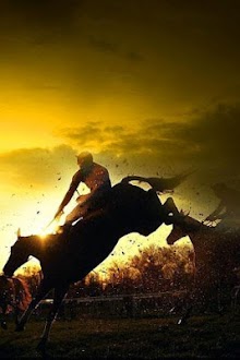3D Horse Racing