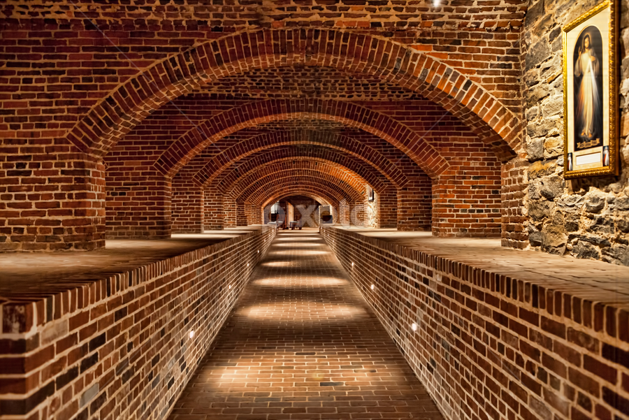 Under the Basilica by Deborah Felmey - Buildings & Architecture Other Interior