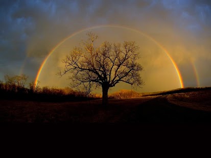 How to download Rainbow Wallpaper lastet apk for laptop