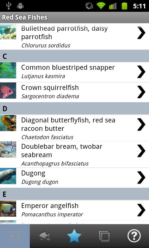Android application Red Sea Fishes screenshort
