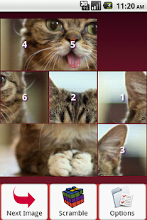 Cats Puzzle Screenshots 10