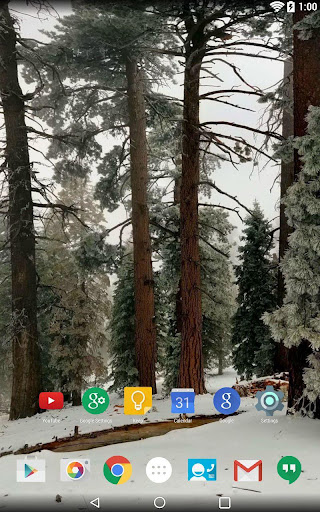 【免費個人化App】Panorama Wallpaper:SnowyForest-APP點子