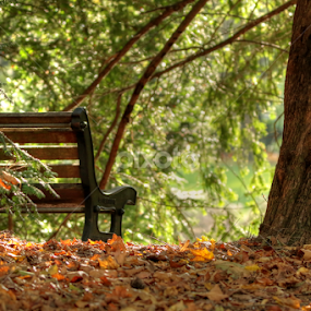 by Cyprien Conier - City,  Street & Park City Parks