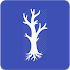 Greek and Latin Roots3.8