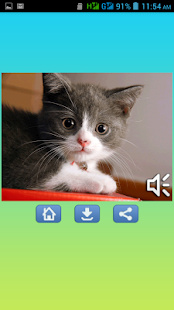 Animal Sounds Screenshots 5