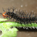 caterpillar Angled castor