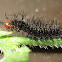 caterpillar Angled castor