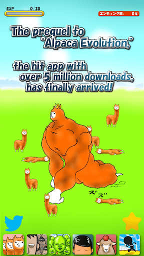 Alpaca Evolution Begins